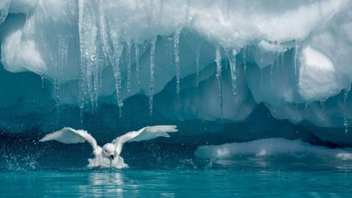 Climate stories from frozen archives